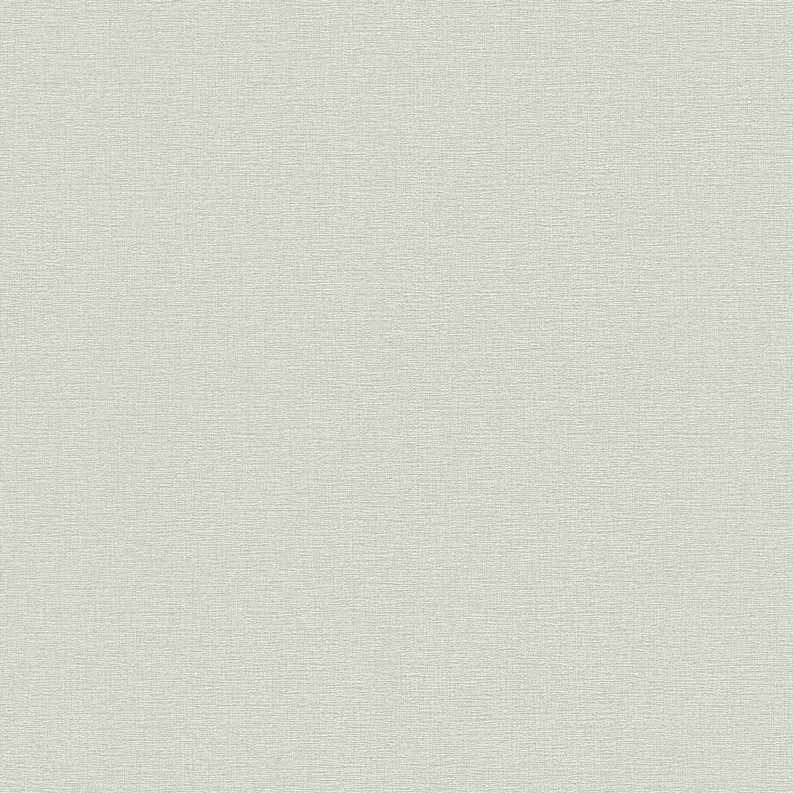 A.S. Creation Flavour | 367134 | papier peint intissé uni | 0.53 m x 10.05 m | beige