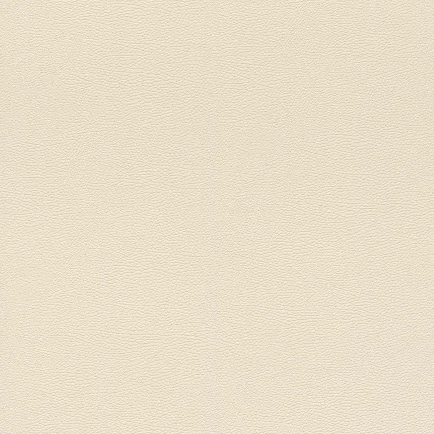 Papier Peint Intissé 752625 beige Uni uni African Queen III Rasch