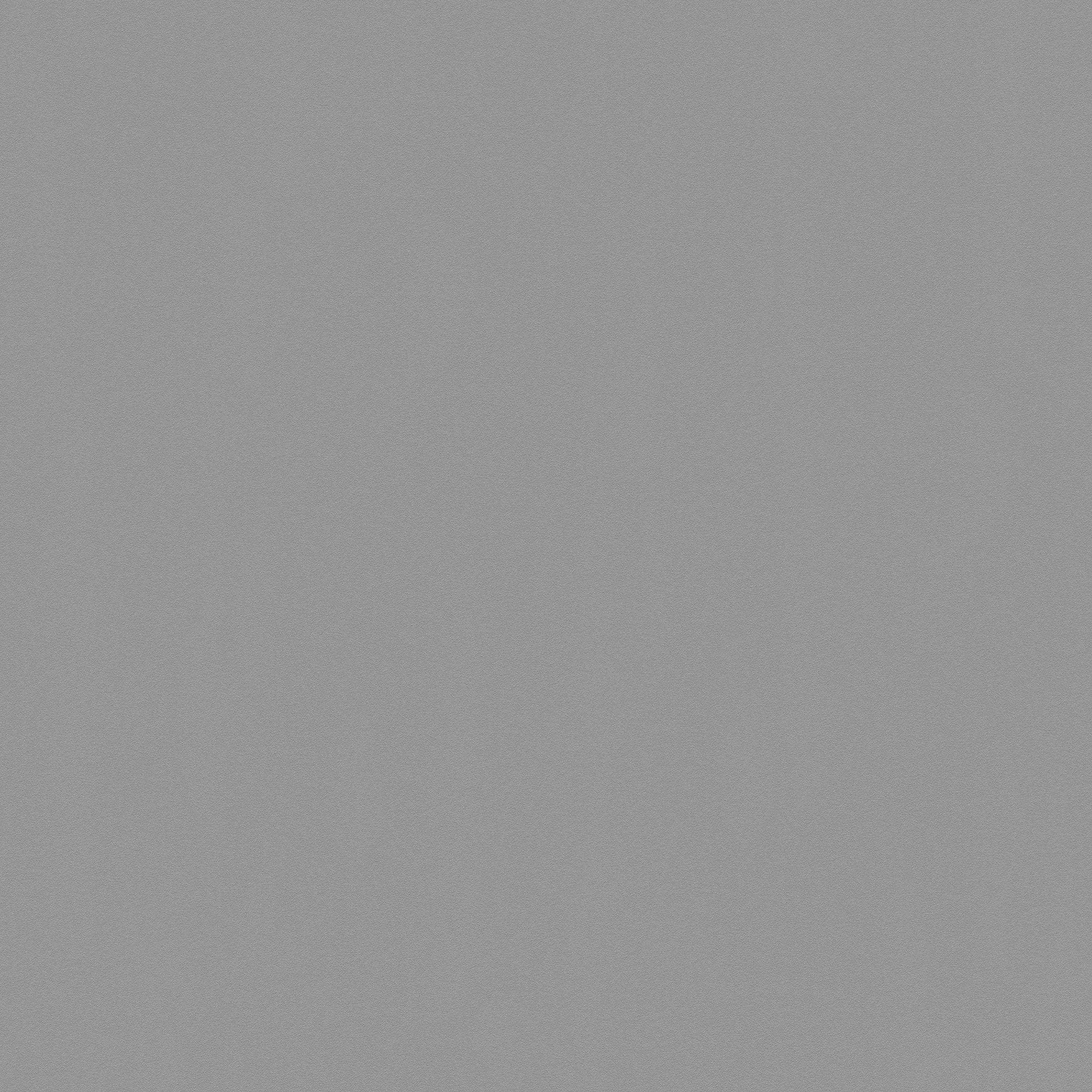 349316_haupt A.S. Creation New Life | 349316 | papier peint intissé uni | 0.53 m x 10.05 m | gris