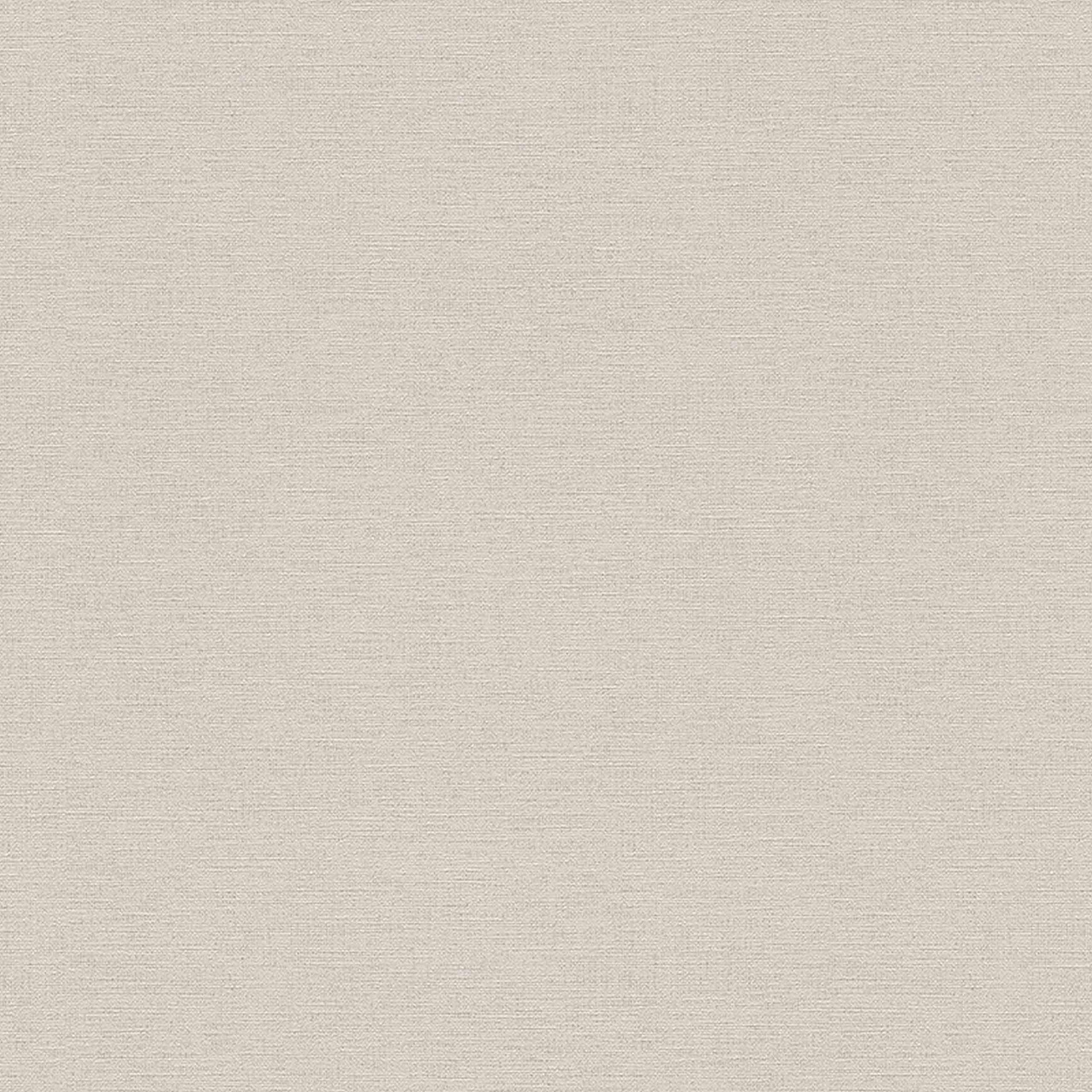 A.S. Creation Björn | 306886 | papier peint intissé uni | 0.53 m x 10.05 m | marron