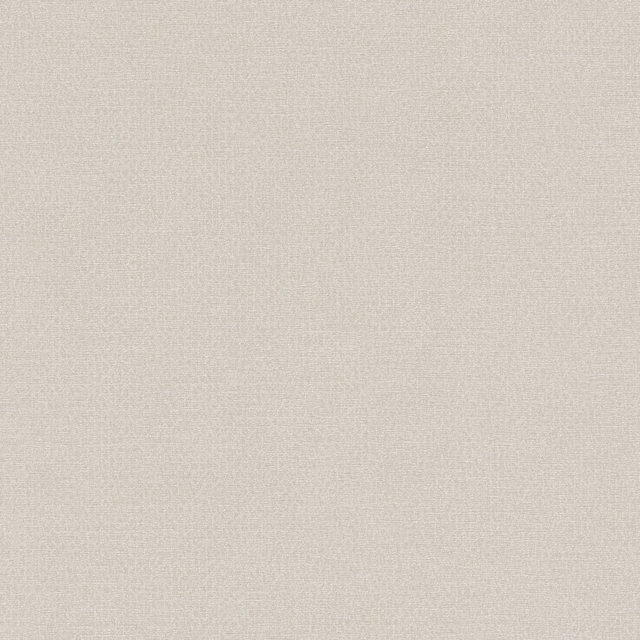A.S. Creation | Natural Living | 386625 | Papier Peint Intissé | Uni | 10.05 x 0.53 m | Beige