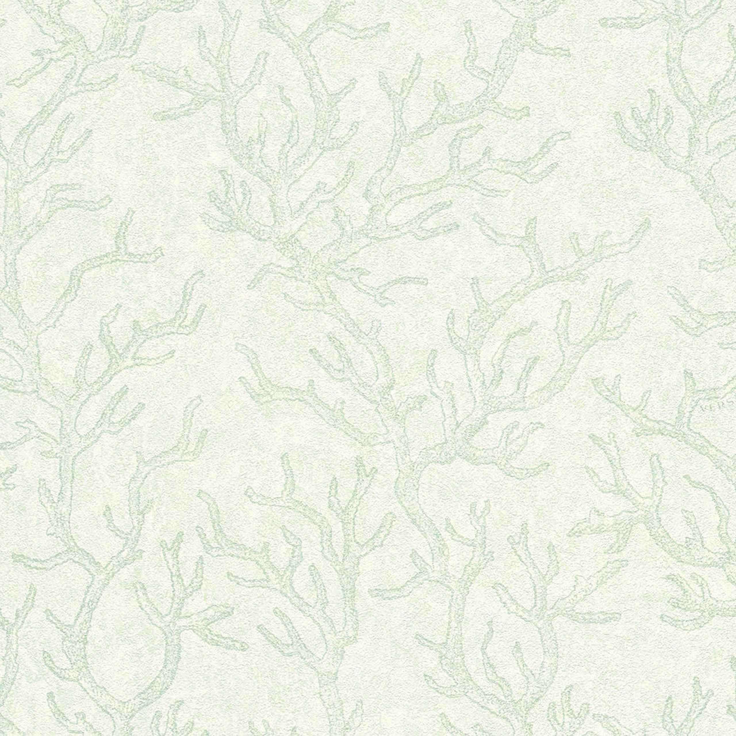 A.S. Creation Versace 3 | 344973 | papier peint intissé nature | 0.70 m x 10.05 m | vert