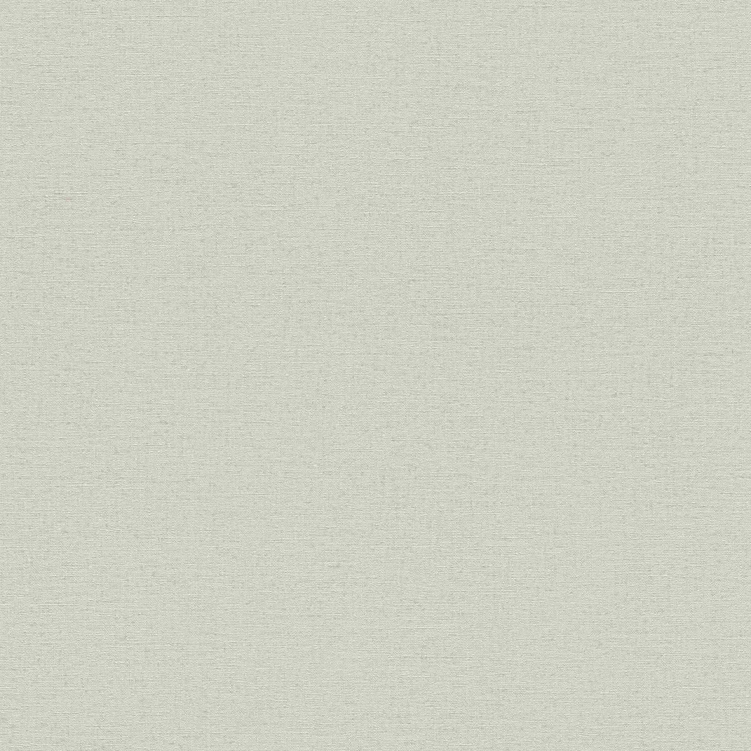 Rasch Wall Textures 2020 Vol. IV | 452013 | papier peint intissé uni | 0.53 m x 10.05 m | gris