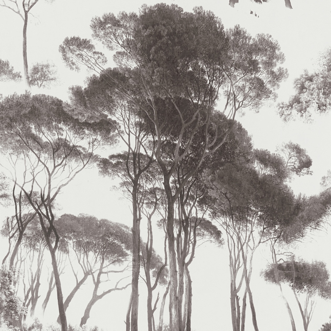 A.S. Creation History of Art | 376511 | papier peint intissé floral | 0.53 m x 10.05 m | noir
