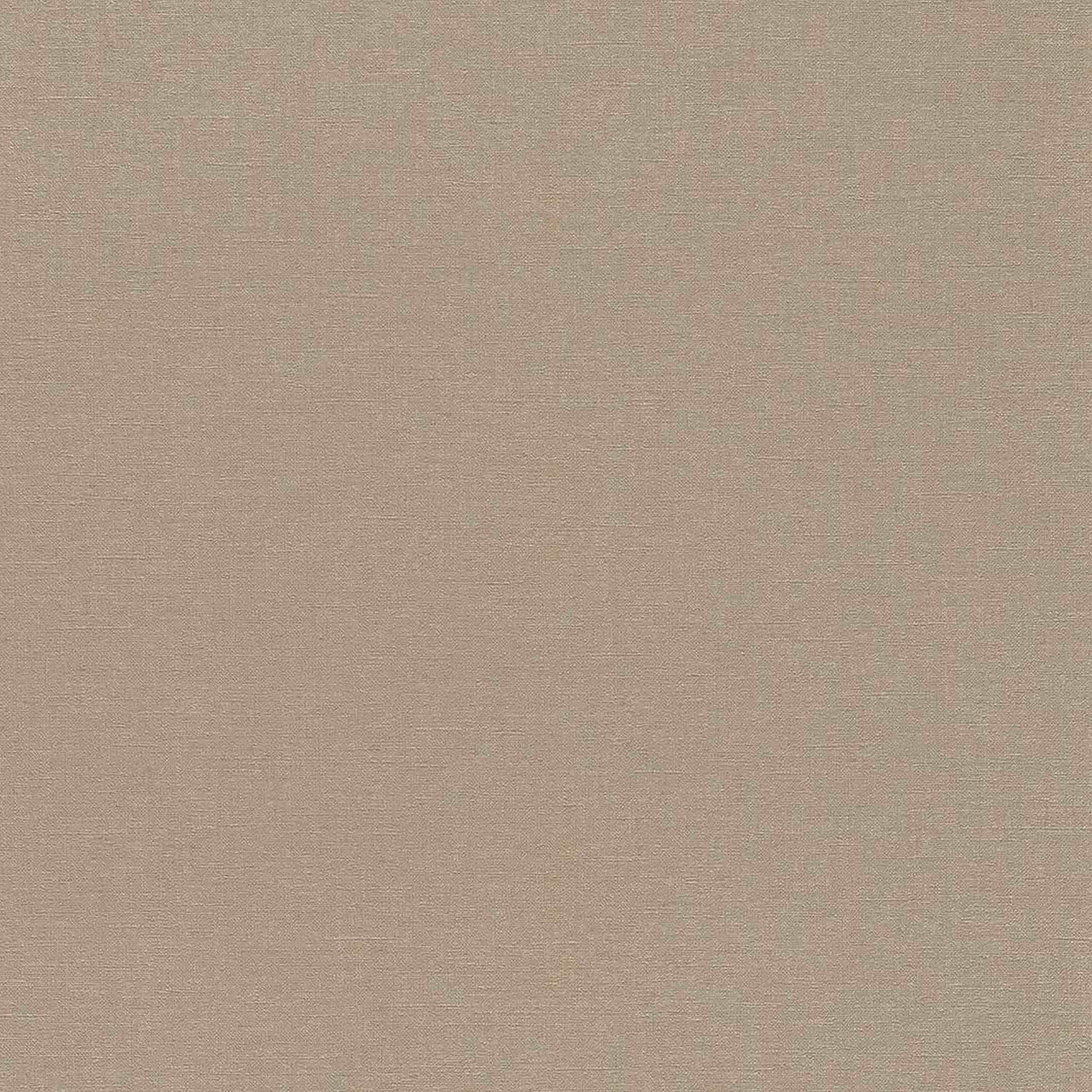 Rasch Denzo | 449815 | papier peint intissé uni | 0.53 m x 10.05 m | marron