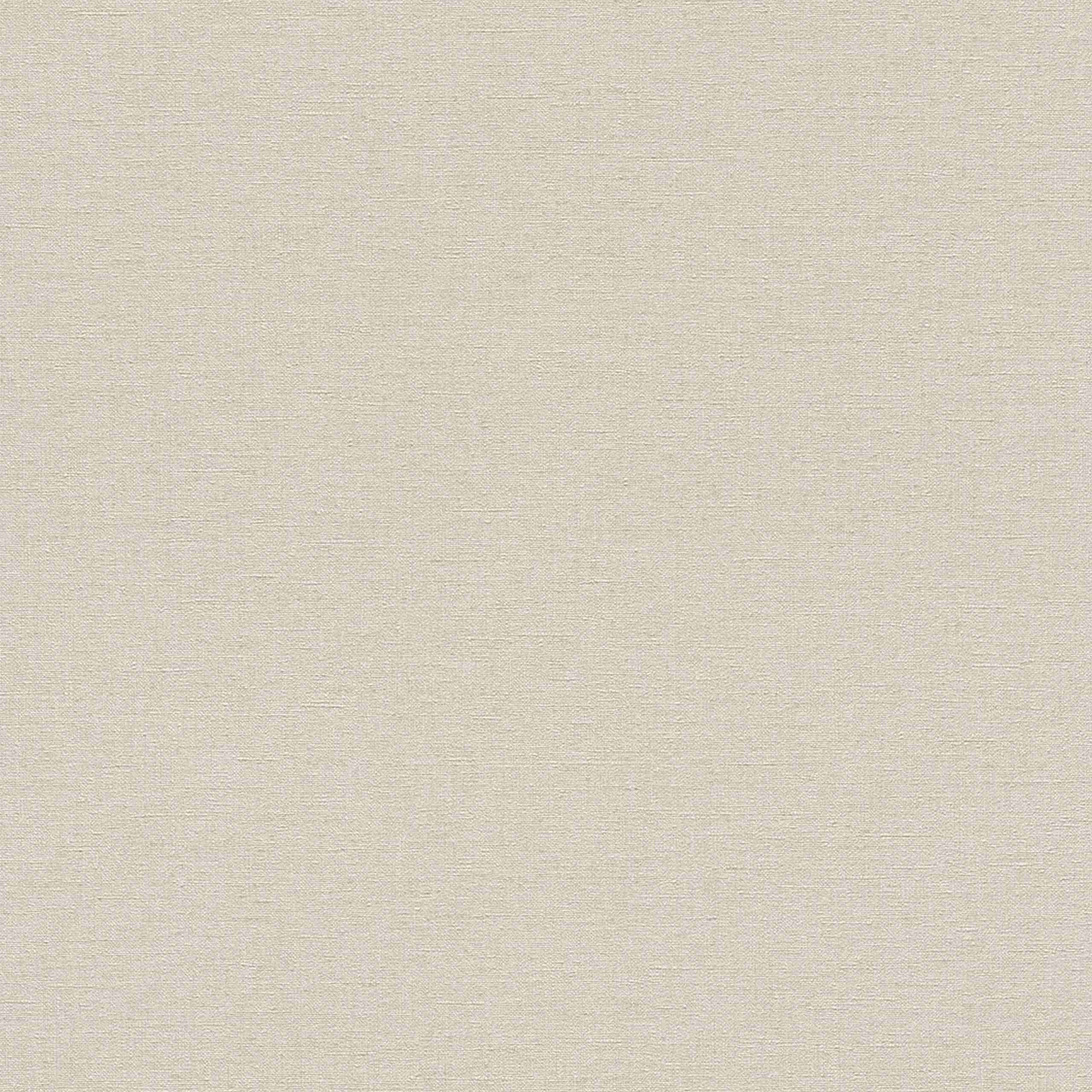 Rasch Denzo | 448634 | papier peint intissé uni | 0.53 m x 10.05 m | beige