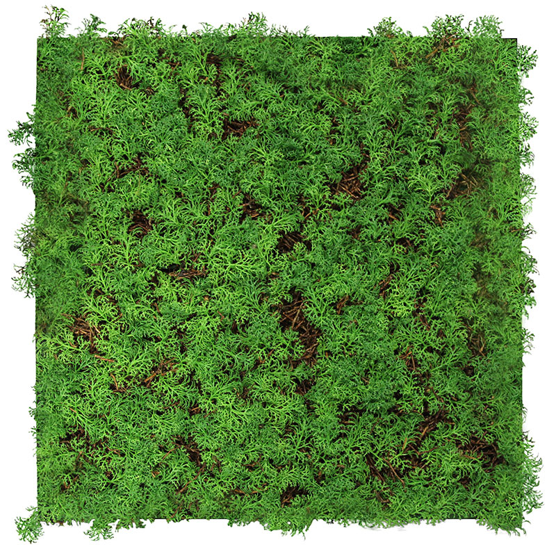 JANGAL Modular Wall Panneau Acoustique Mural 520 x 520 mm Thuja Arbre à Thé Fibre naturelle
