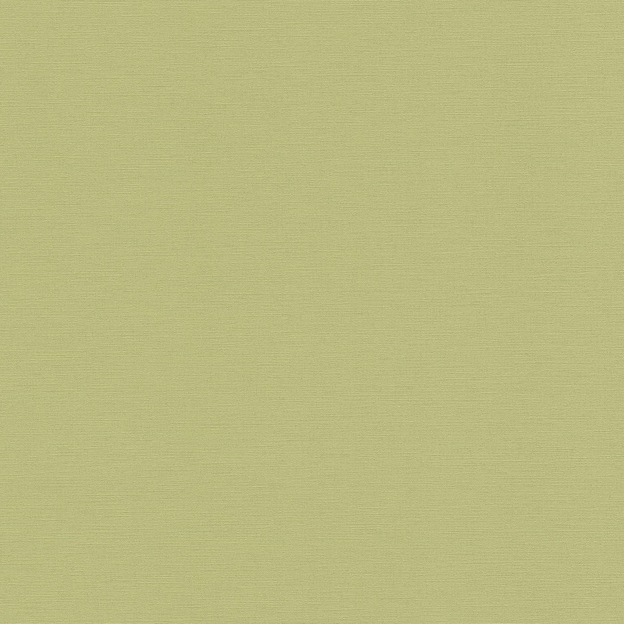 A.S. Creation | Antigua | 390974 | Papier Peint Intissé | Uni | 10.05 x 0.53 m | Vert
