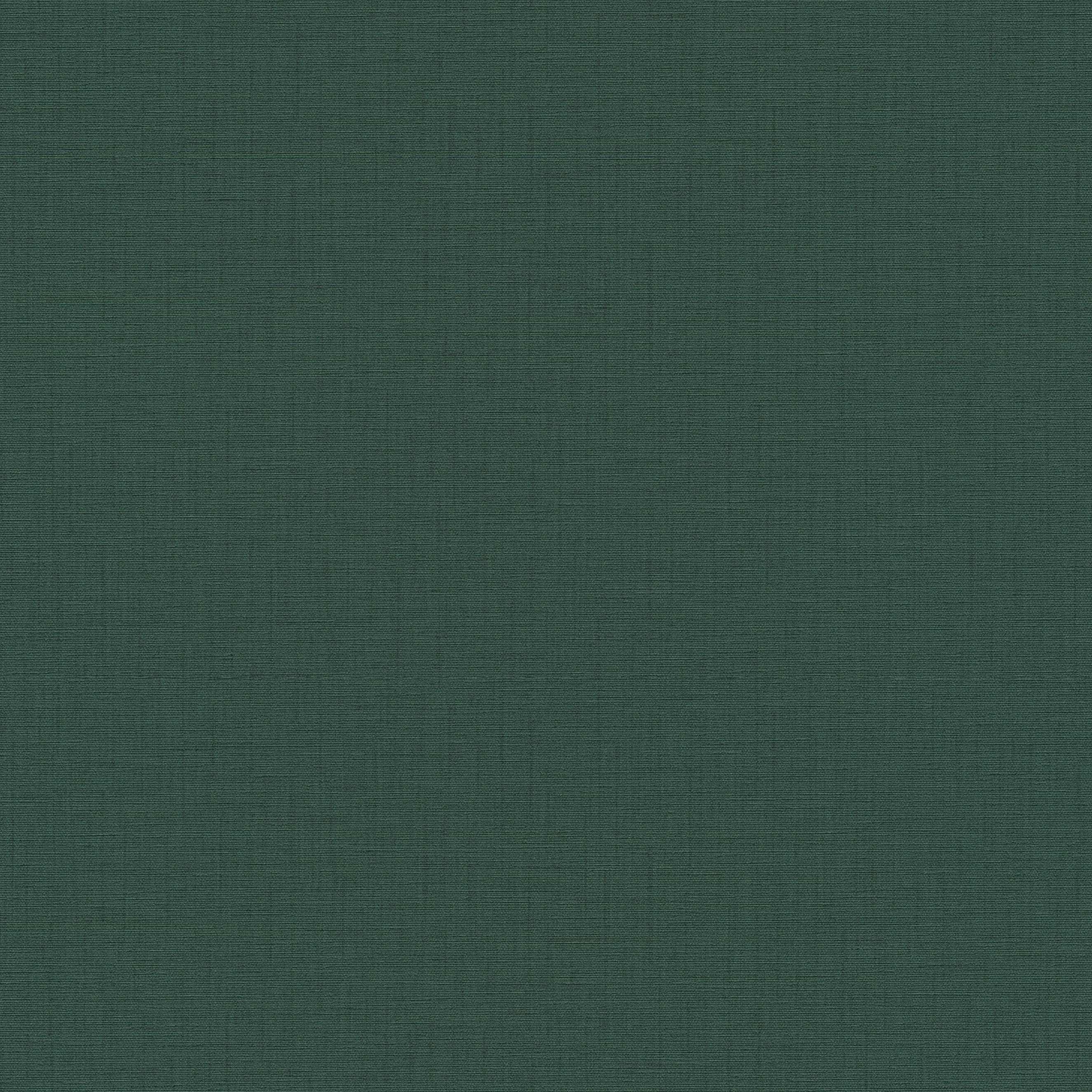 A.S. Creation Metropolitan Stories 2 | 379533 | papier peint intissé uni | 0.53 m x 10.05 m | vert