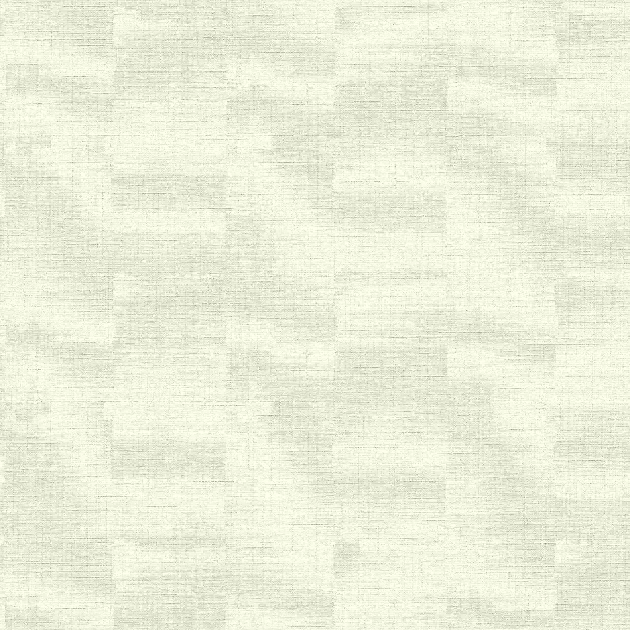 Erismann Paradisio 2 | 1014001 | papier peint intissé uni | 0.53 m x 10.05 m | blanc