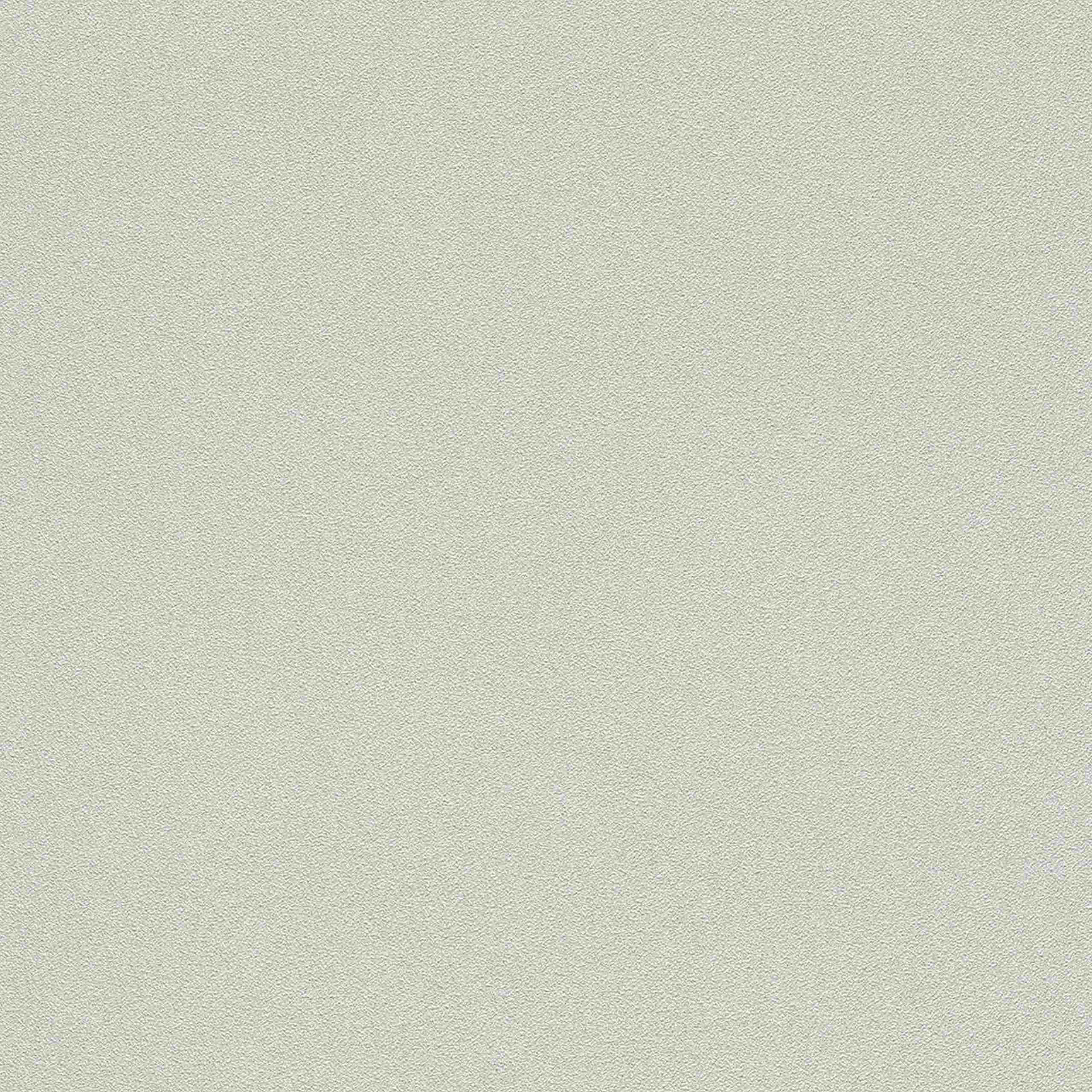 Rasch Wall Textures 2020 Vol. IV | 479430 | papier peint intissé uni | 0.53 m x 10.05 m | gris