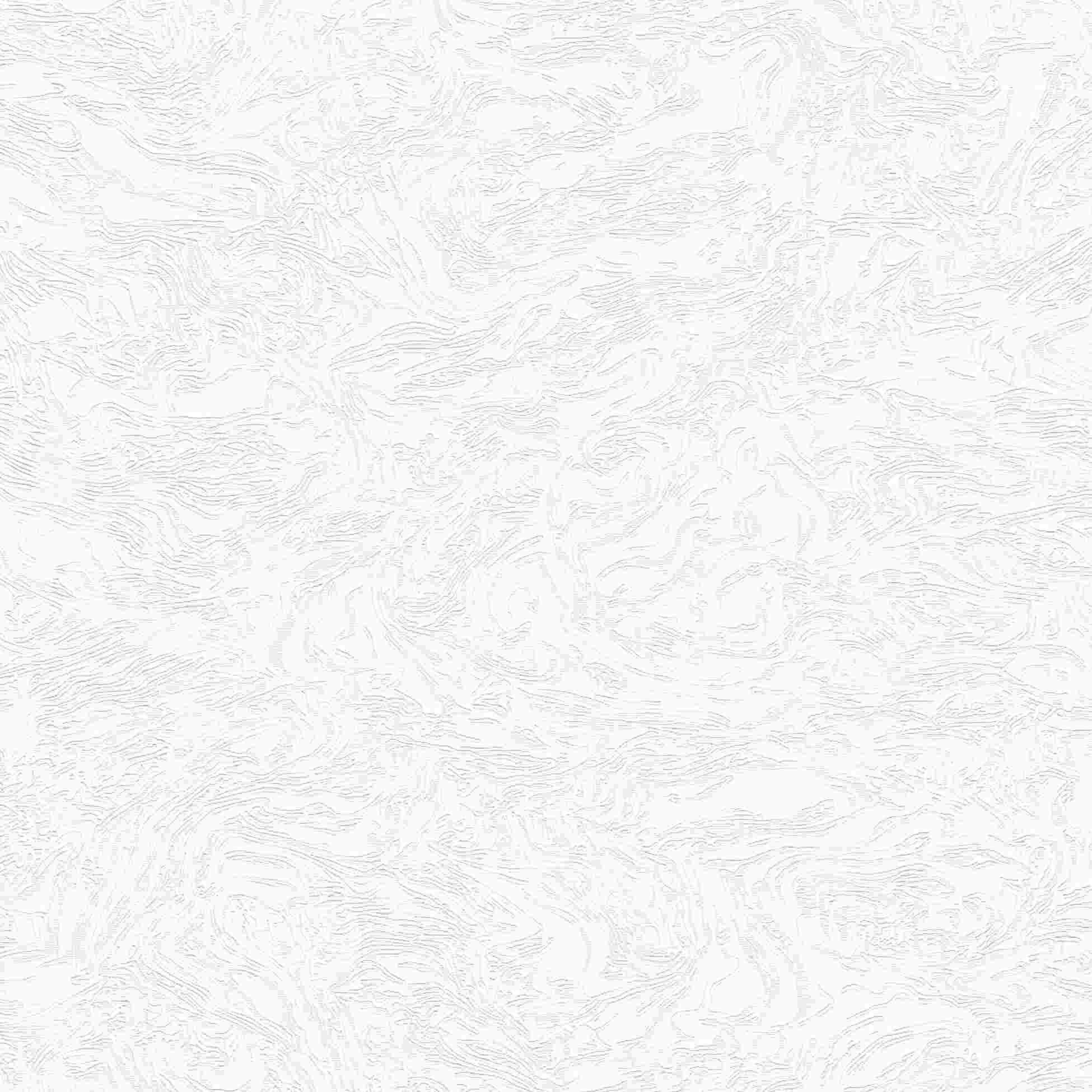 Erismann | Elle 3 | 10330-01 | Papier peint intissé | motifs / dessins | 0.53 x 10.05 m | Blanc