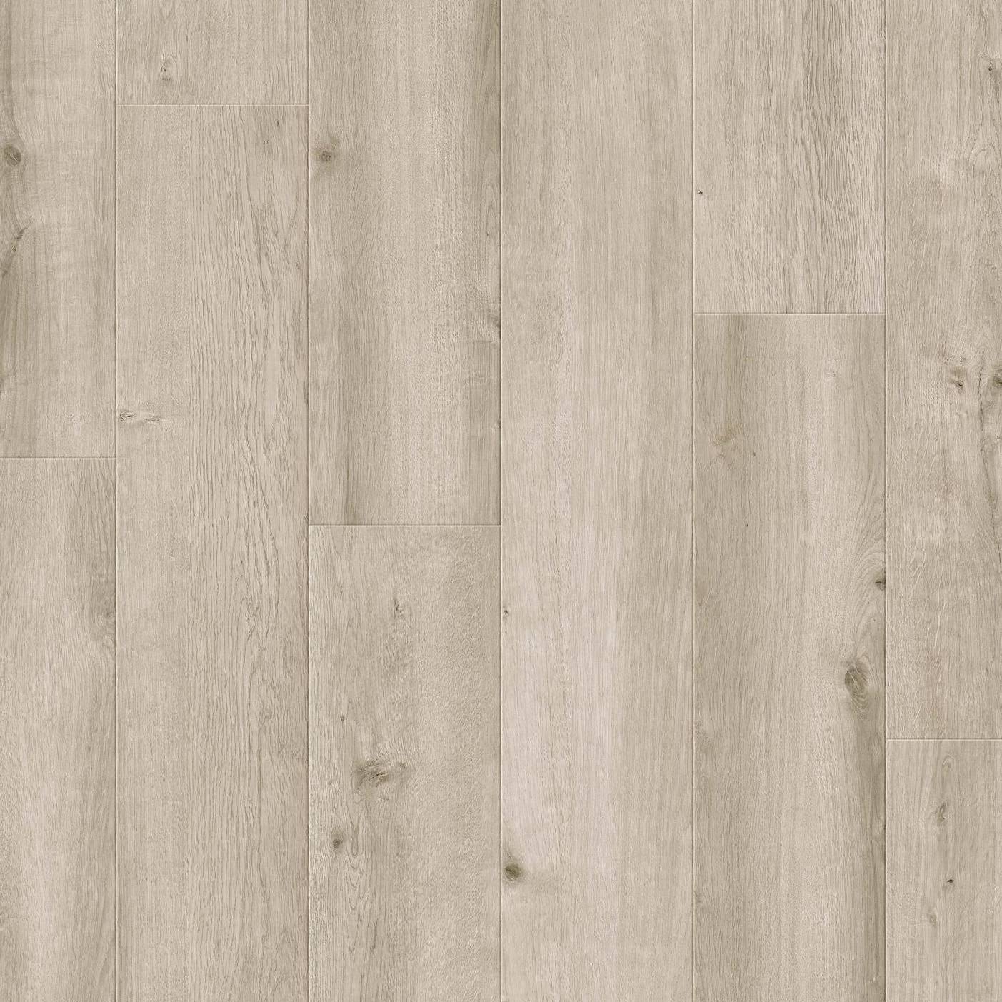 Stratifié 833 XploraNEXT Wide Timeless 8834 | 1261 x 244 x 78 mm imitation bois chêne gris