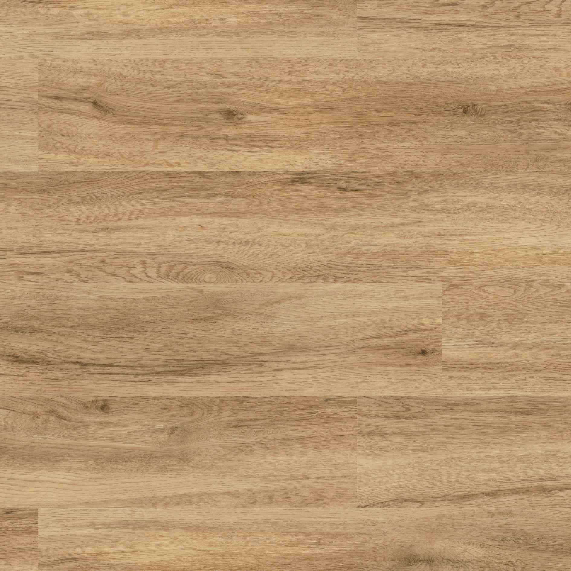 Sol vinyle PVC design ECO+ ECO 3220/30 | 1219 x 183 x 2.5 mm Vinyle à coller imitation bois