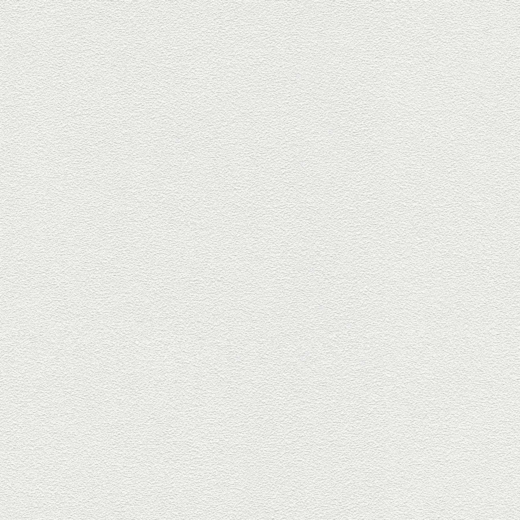 A.S. Creation | Meistervlies 7 | 311023 | Papier Peint Intissé à peindre | 10.05 x 0.53 m