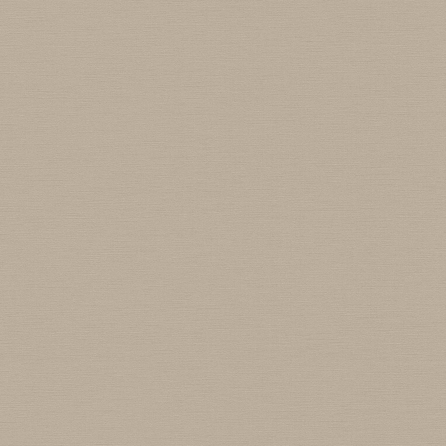 A.S. Creation | Antigua | 390983 | Papier Peint Intissé | Uni | 10.05 x 0.53 m | Beige