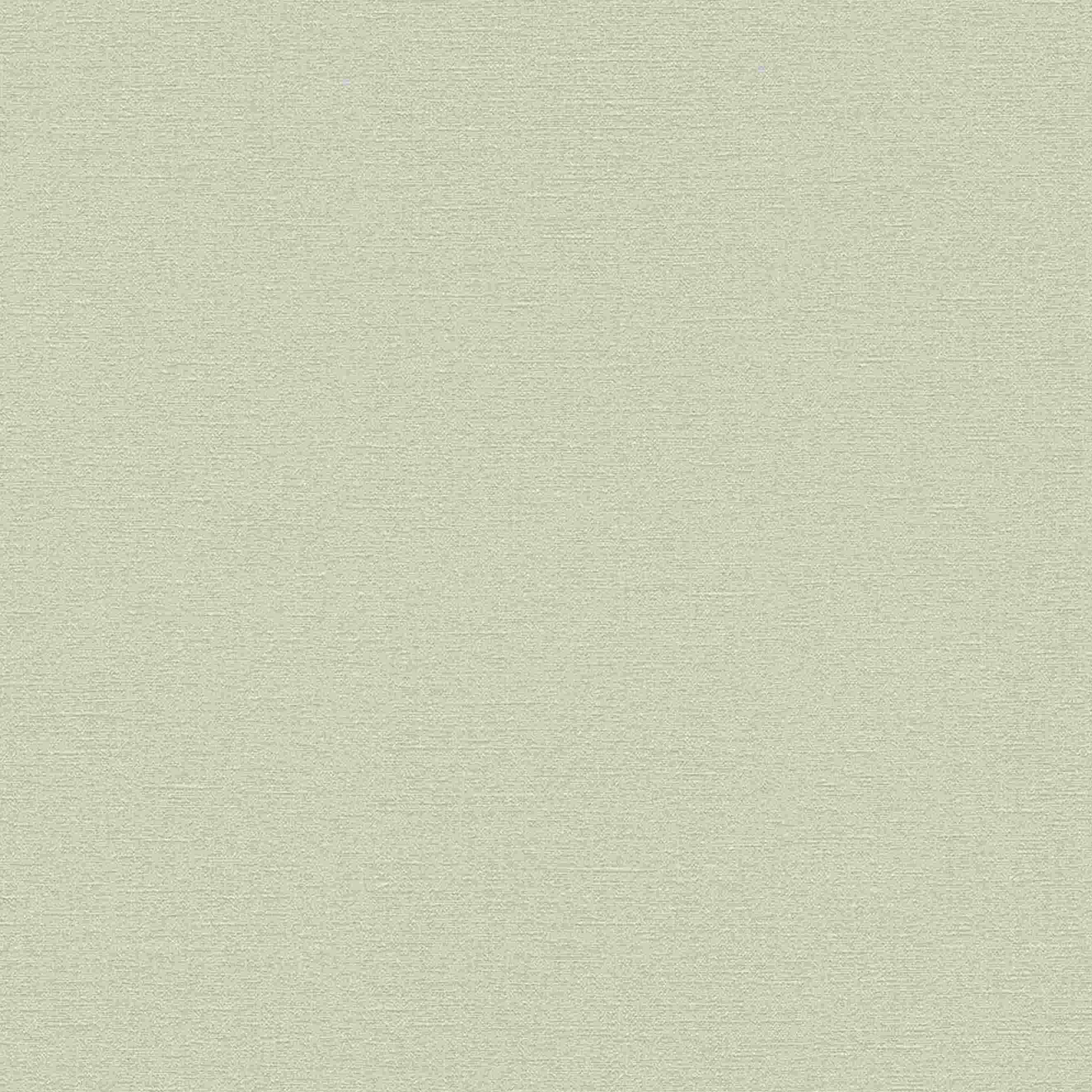 A.S. Creation | Natural Living | 376035 | Papier Peint Intissé | Uni | 10.05 x 0.53 m | Gris-Beige