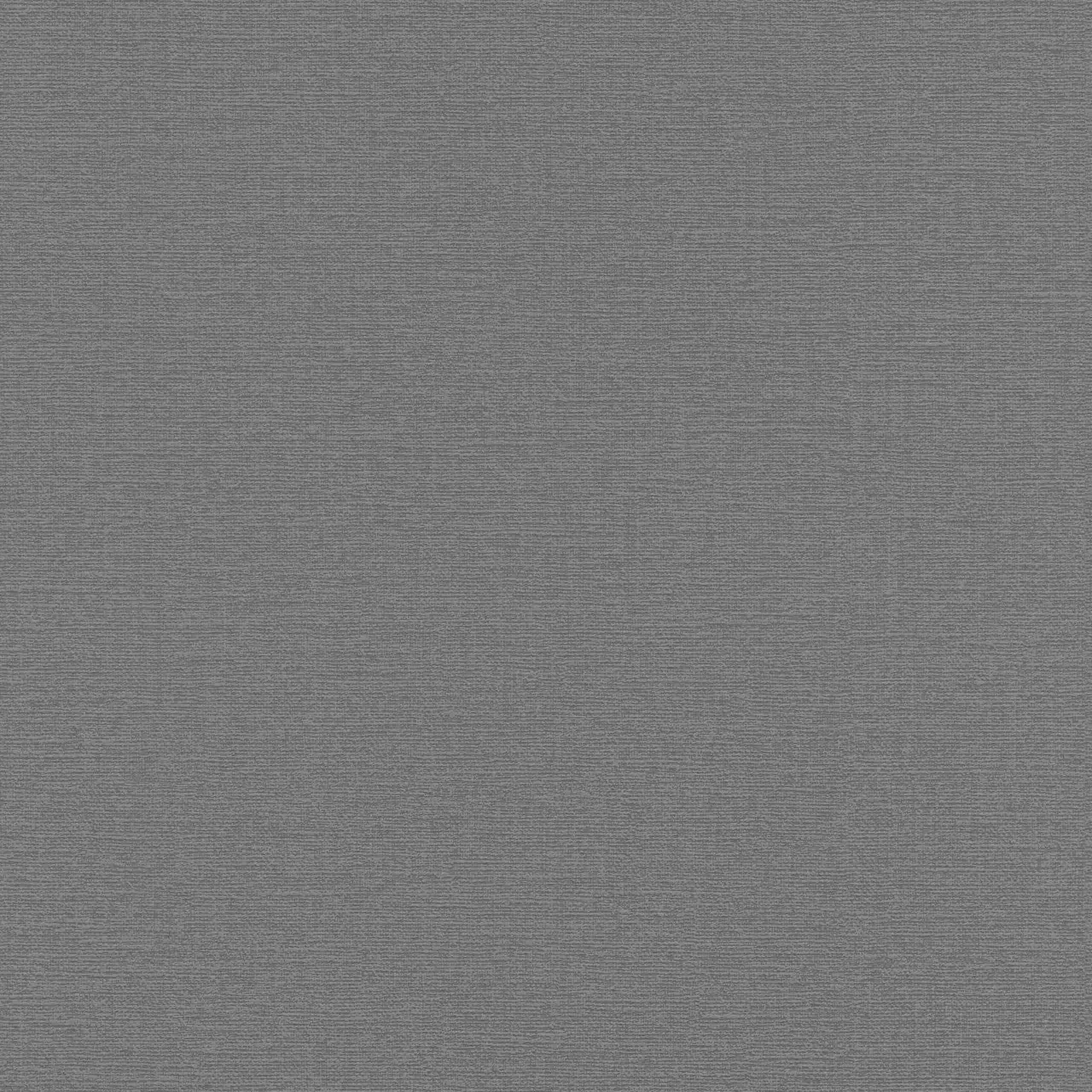 Rasch Unsere Besten 2022 | 804522 | papier peint intissé uni | 0.53 m x 10.05 m | gris