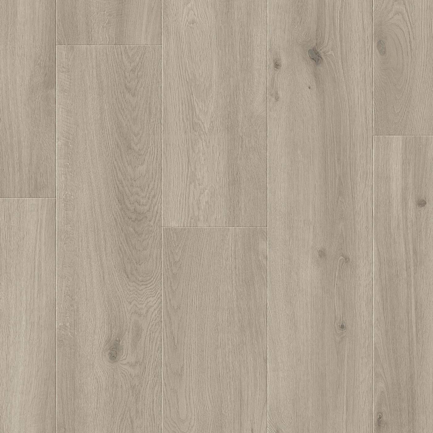 Stratifié 833 XploraNEXT Wide Timeless 8886 | 1261 x 244 x 78 mm imitation bois chêne gris
