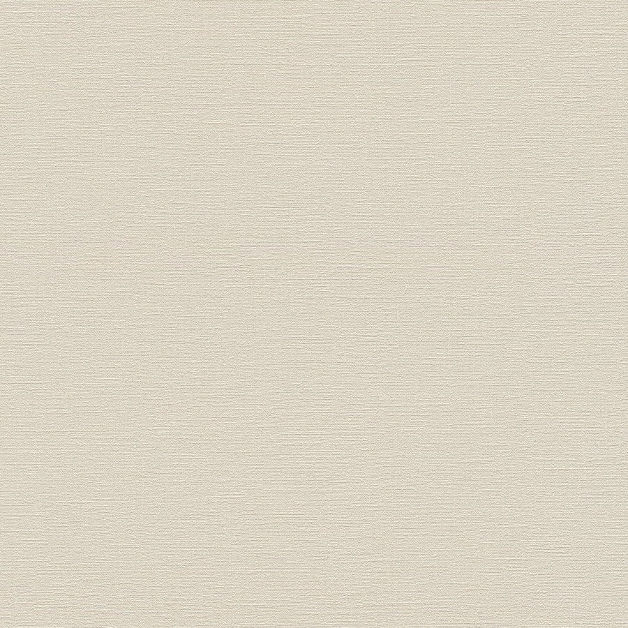 A.S. Creation | Natural Living | 376033 | Papier Peint Intissé | Uni | 10.05 x 0.53 m | Beige