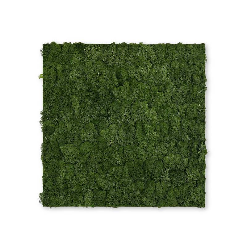 JANGAL Modular Wall Panneau Acoustique Mural 520 x 520 x 40 mm Mousse Vert Foncé Mousse Naturelle