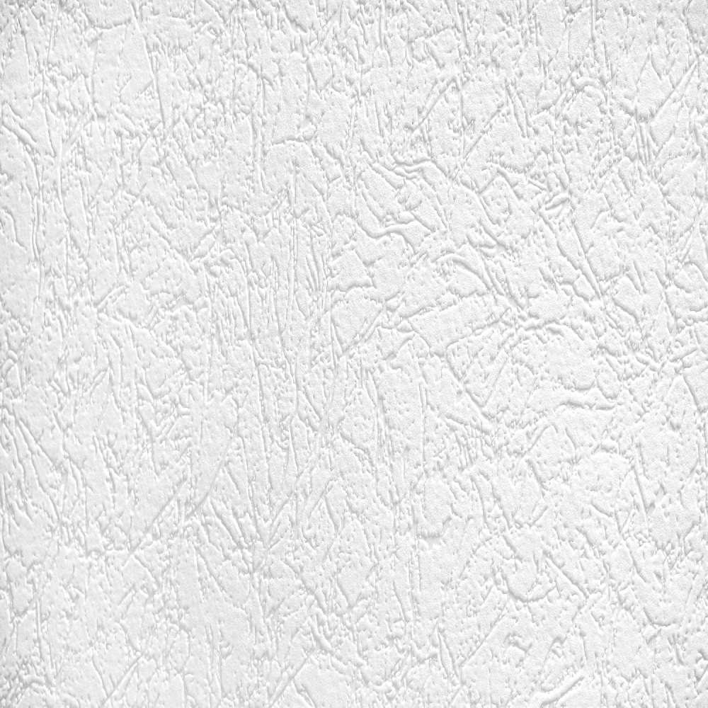 A.S. Creation Meistervlies | 573513 | papier peint intissé enduit | 1.06 m x 25 m | blanc