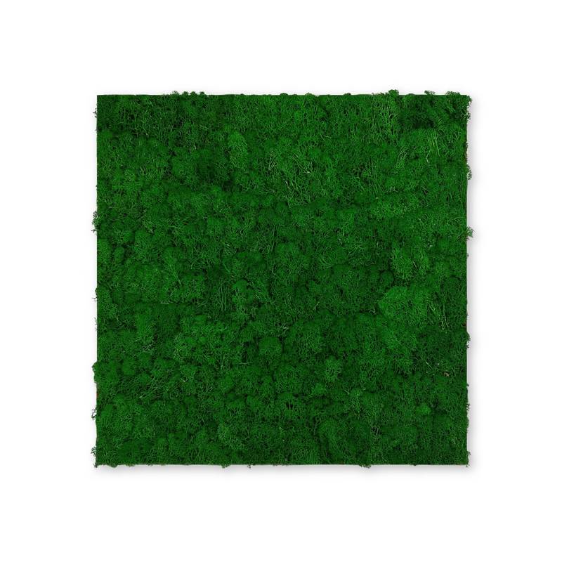 JANGAL Modular Wall Panneau Acoustique Mural 520 x 520 x 40 mm Mousse Vert Naturel Mousse Naturelle