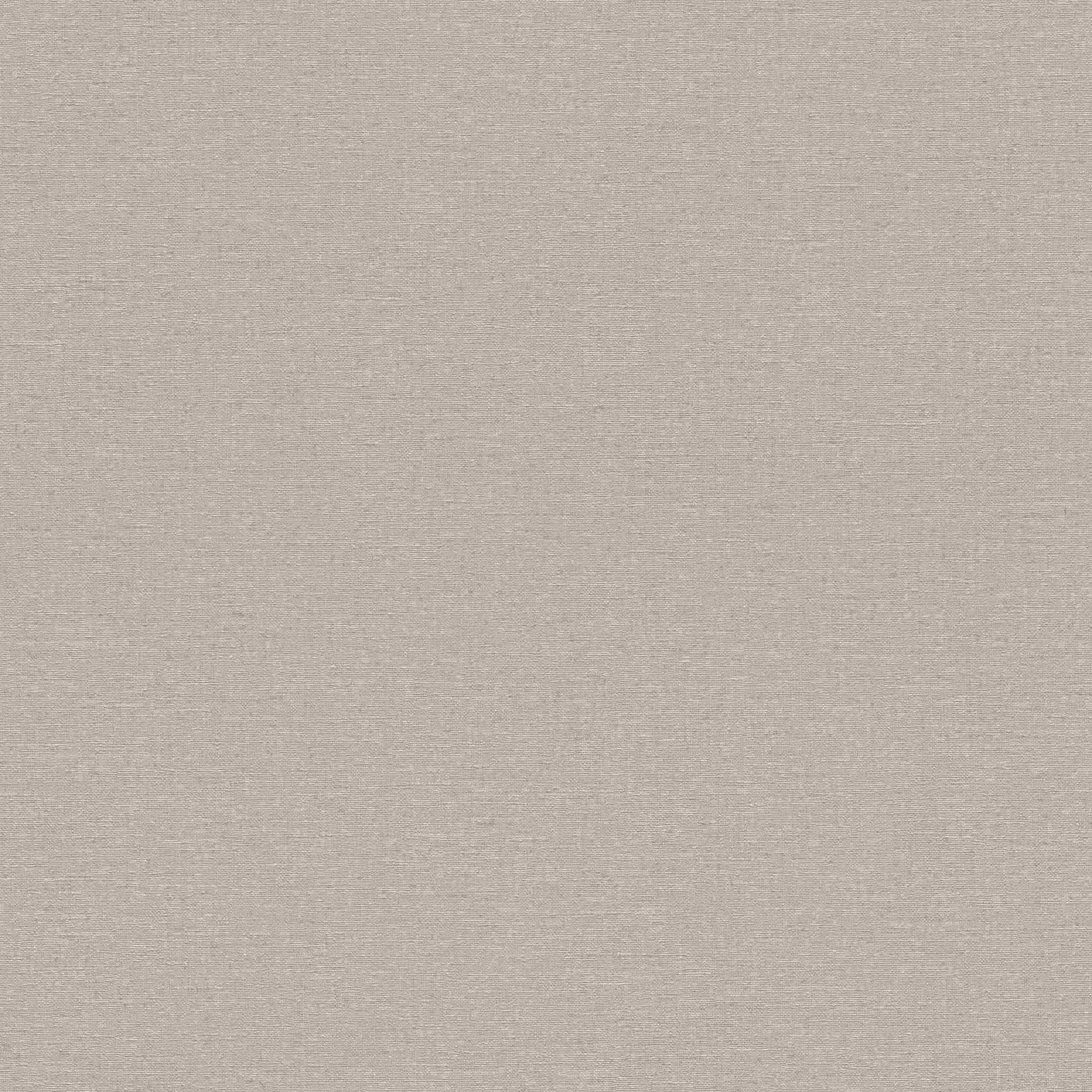 Rasch Best of Florentine | 452020 | papier peint intissé uni | 0.53 m x 10.05 m | gris