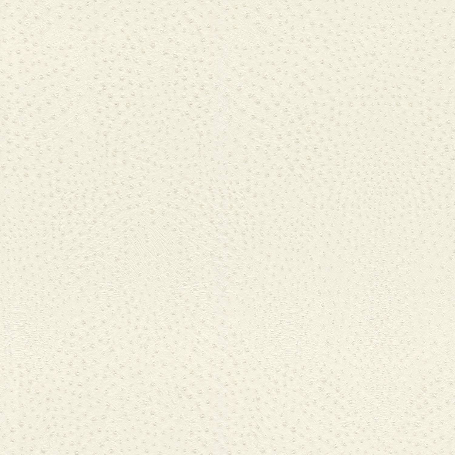 Papier Peint Intissé 751536 blanc dessins motifs African Queen III Rasch