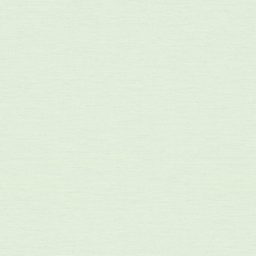 A.S. Creation | House of Turnowsky | 389034 | Papier Peint Intissé | Uni | 10.05 x 0.53 m | Vert