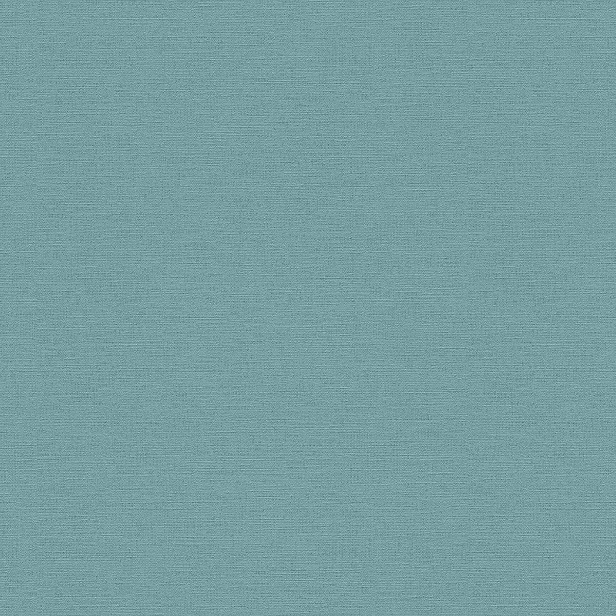 A.S. Creation Designbook | 306884 | papier peint intissé uni | 0.53 m x 10.05 m | bleu