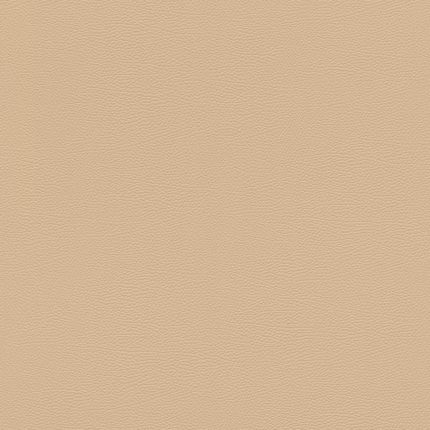 Papier Peint Intissé 752694 beige Uni uni African Queen III Rasch