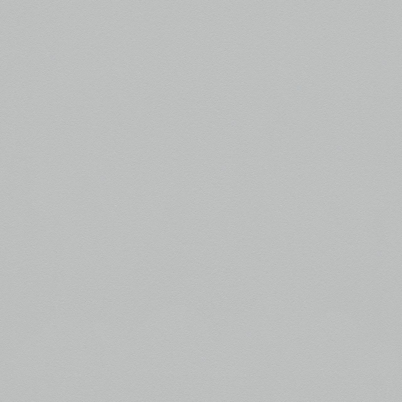 A.S. Creation Meistervlies 5 | 309136 | papier peint intissé uni | 0.53 m x 10.05 m | gris