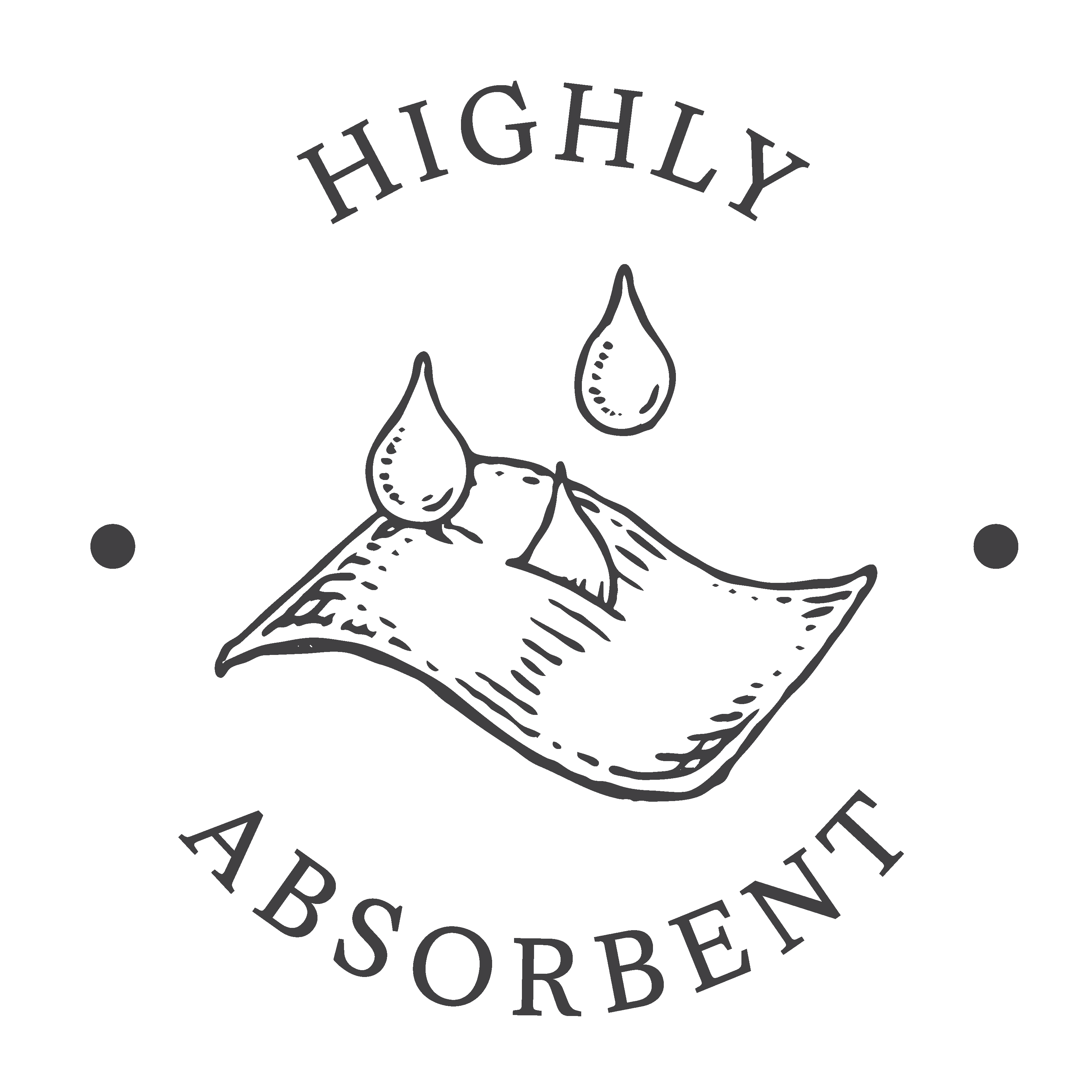 Haute_absorption_humidité_icone