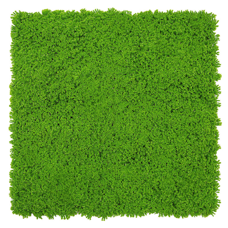 JANGAL Modular Wall Panneau Acoustique Mural 520 x 520 mm Design Vert Tilleul Mousse Design