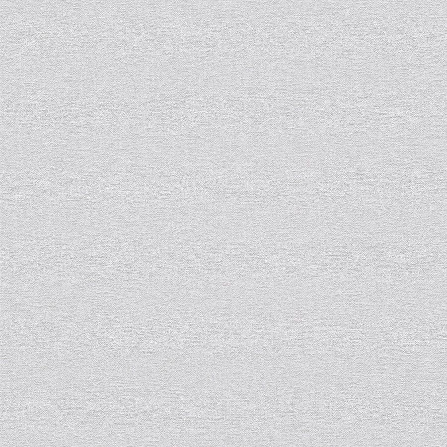 A.S. Creation | Travel Styles | 392165 | Papier peint intissé | Uni | 10.05 x 0.53 m | Gris clair