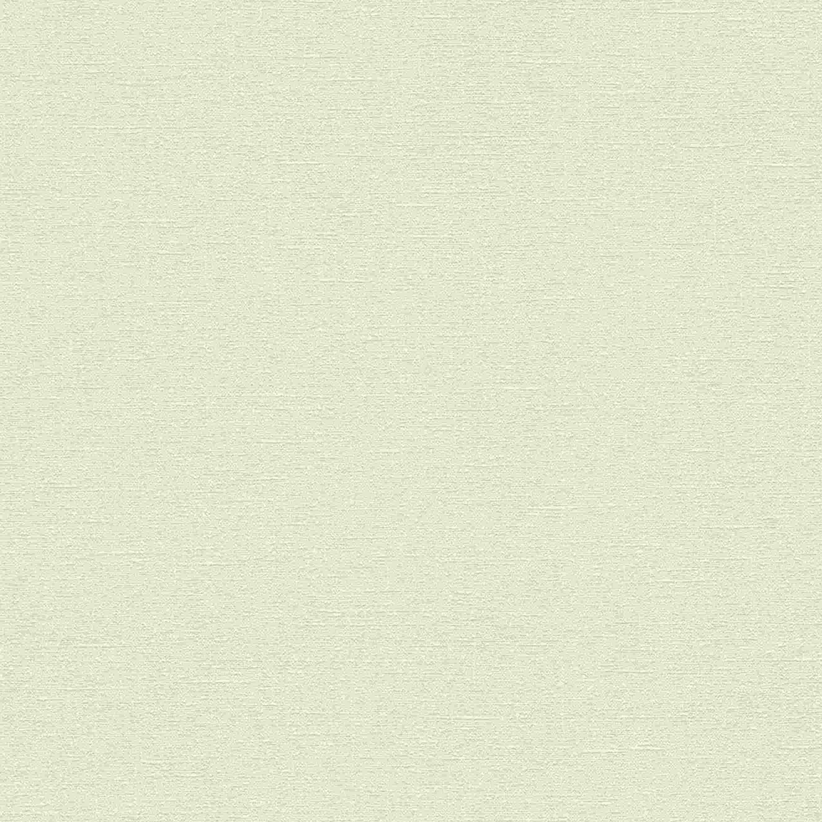 A.S. Creation | Natural Living | 376037 | Papier Peint Intissé | Uni | 10.05 x 0.53 m | Blanc
