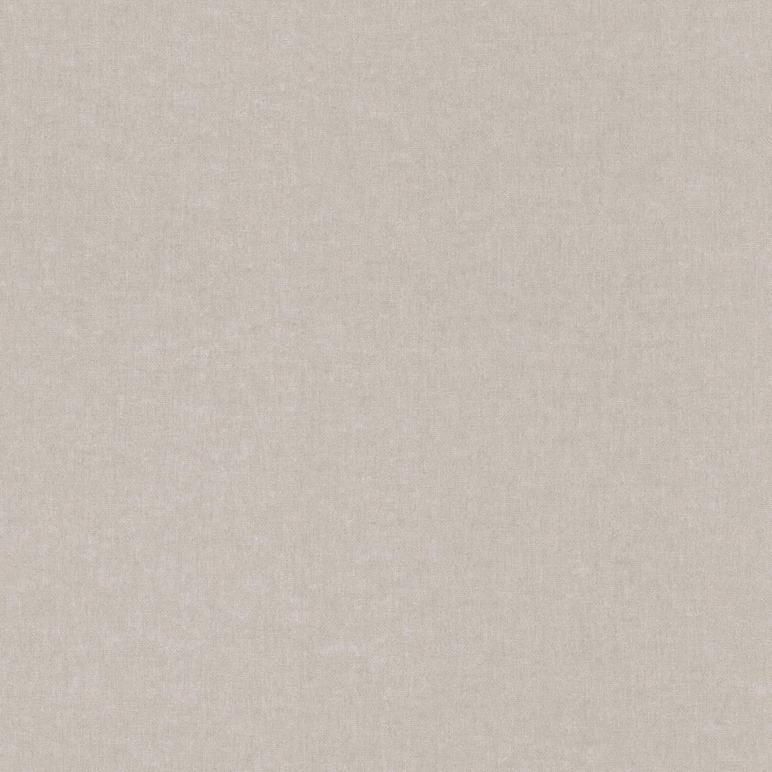 Rasch | Bambino XIX | 252859 | Intissé Papier peint | Uni | 0.53 x 10.05 m | gris