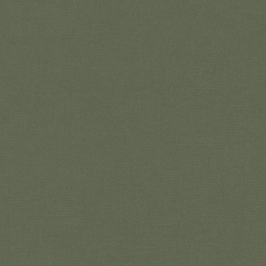 A.S. Creation | Travel Styles | 392663 | Papier peint intissé | Uni | 10.05 x 0.53 m | Vert