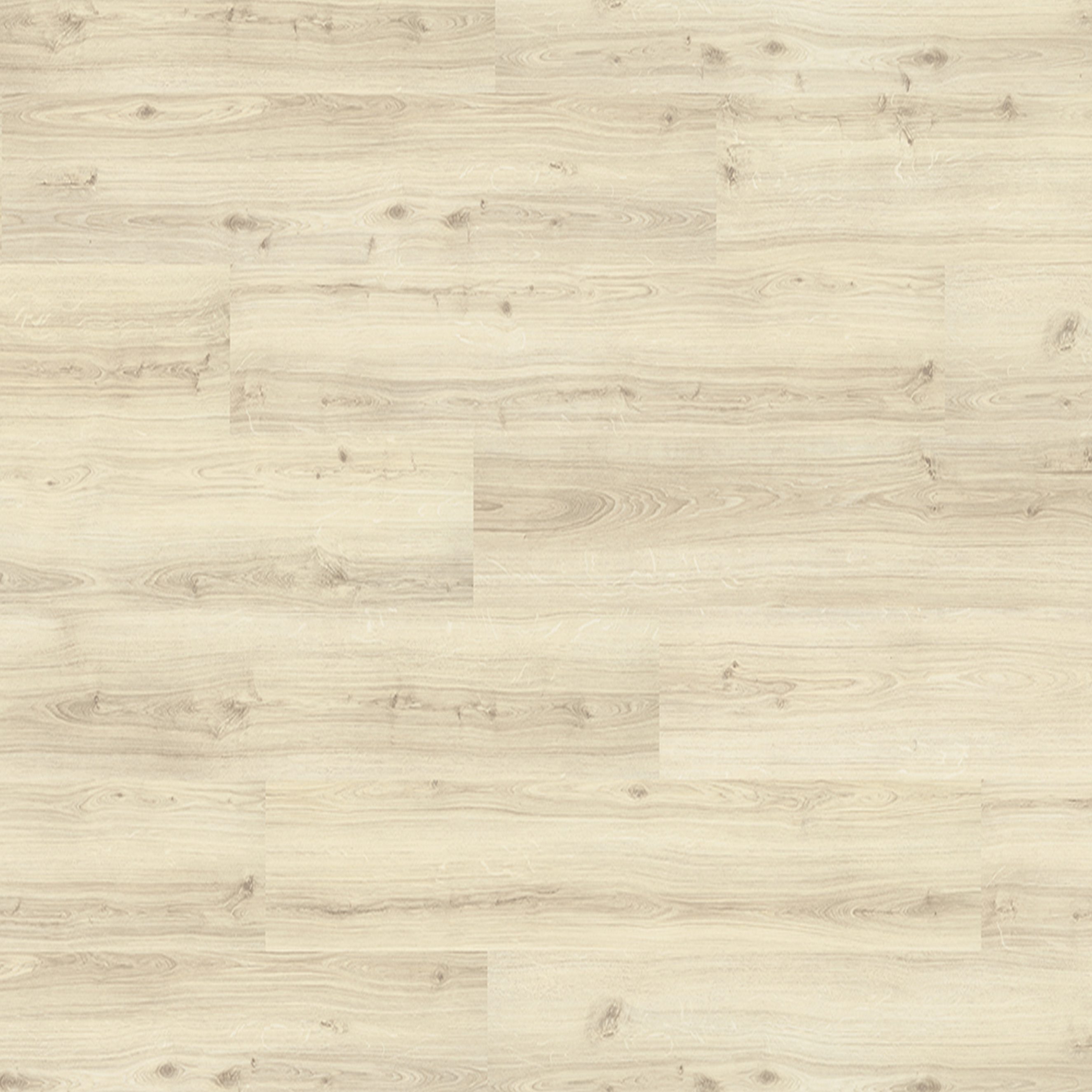 Stratifié PRO EPL026 | 1292 x 193 x 7 mm Parquet Stratifié à clipser chêne clair