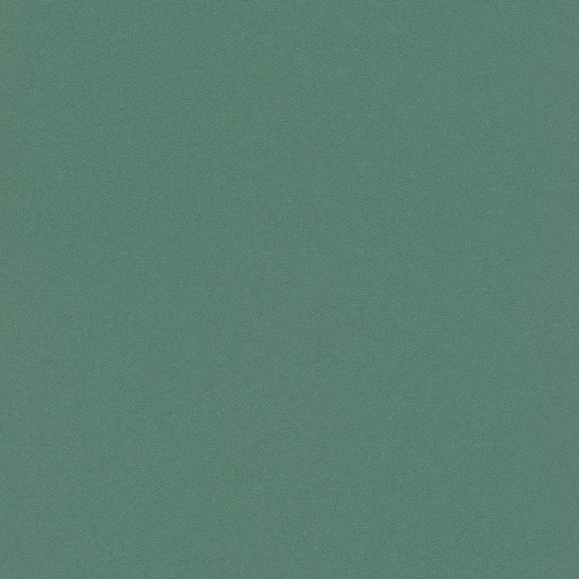 Rasch | Selection | 807615 | Papier peint intissé | Uni | 10.05 x 0.53 m | Vert