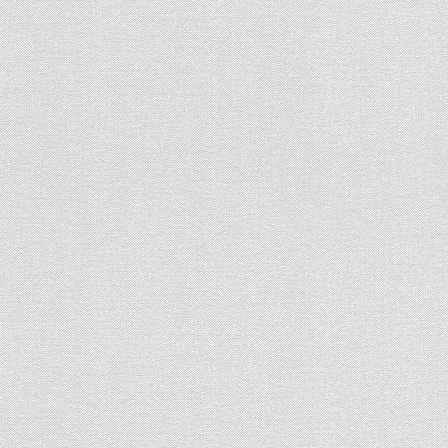 A.S. Creation | Terra | 297327 | Papier Peint Intissé | Uni | 10.05 x 0.53 m | Gris