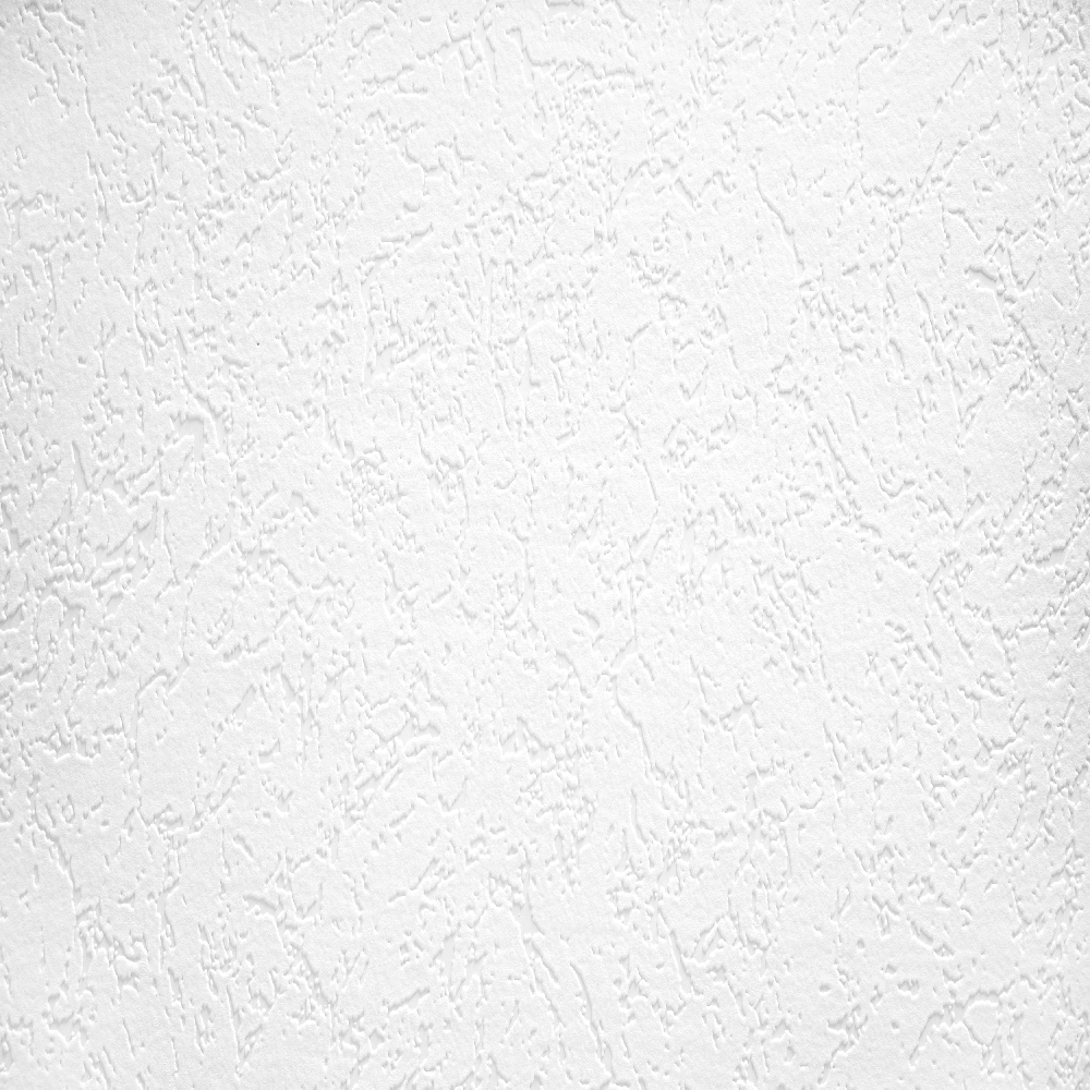 A.S. Creation Meistervlies | 929518 | papier peint intissé enduit | 0.53 m x 10.05 m | blanc