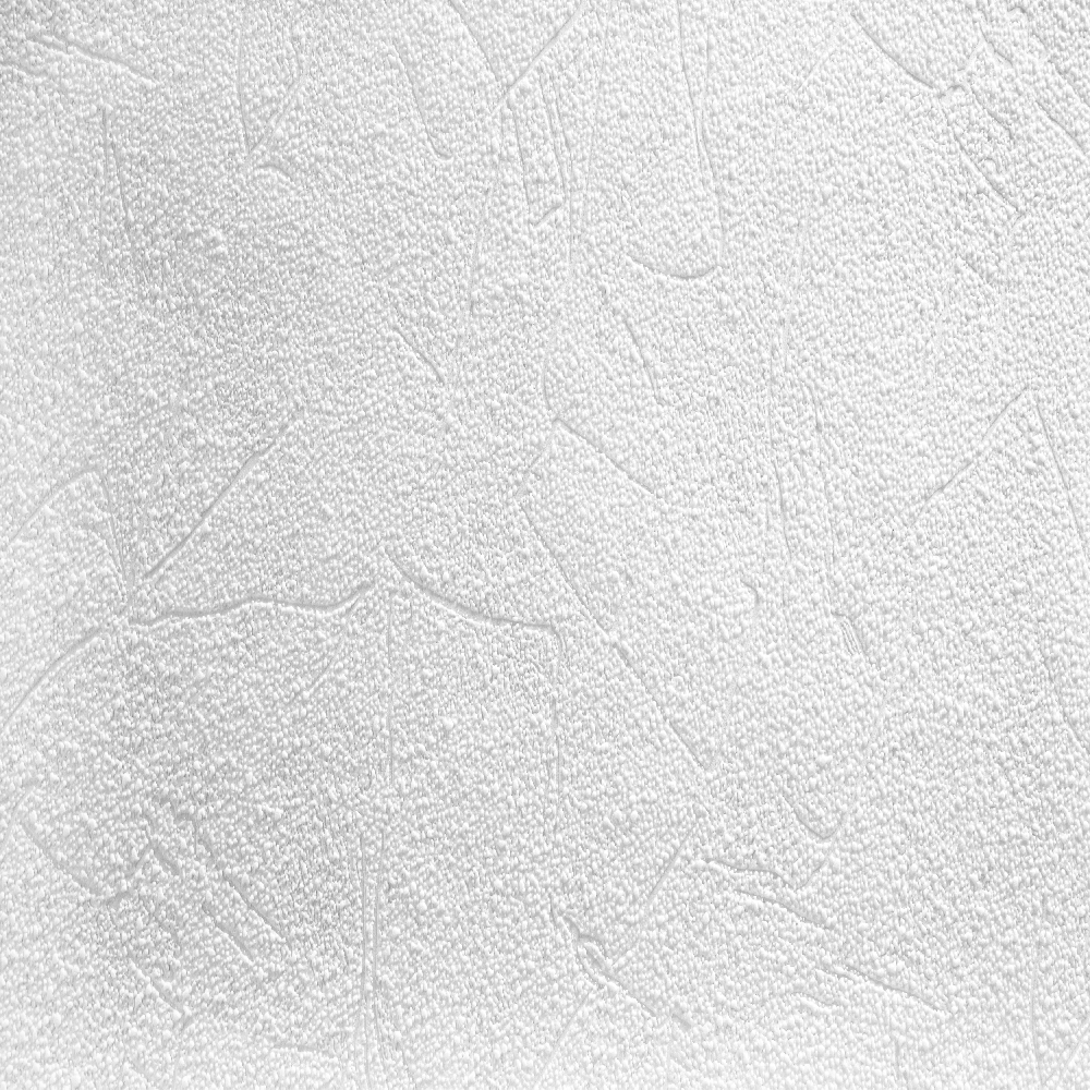 A.S. Creation Meistervlies | 571212 | papier peint intissé enduit | 0.53 m x 10.05 m | blanc