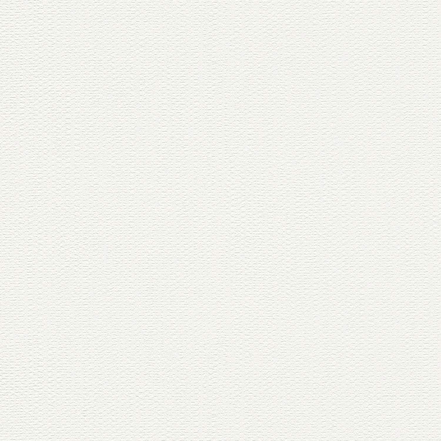 A.S. Creation | Premium Wall 2 | 389909 | Papier Peint Intissé à peindre | Uni | 10.05 x 0.53 m