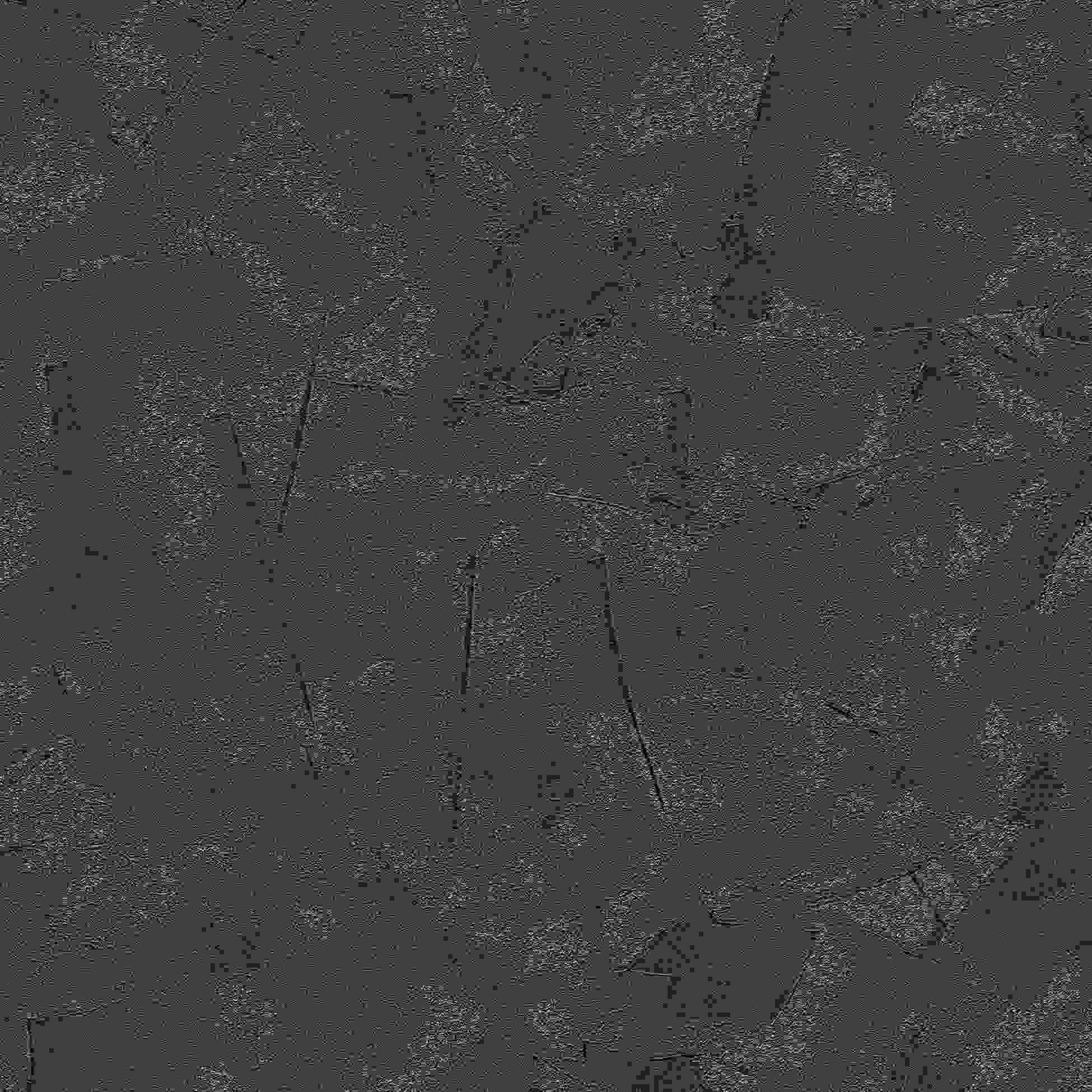 Erismann | Elle 3 | 10329-15 | Papier peint intissé | motifs / dessins | 0.53 x 10.05 m | Noir