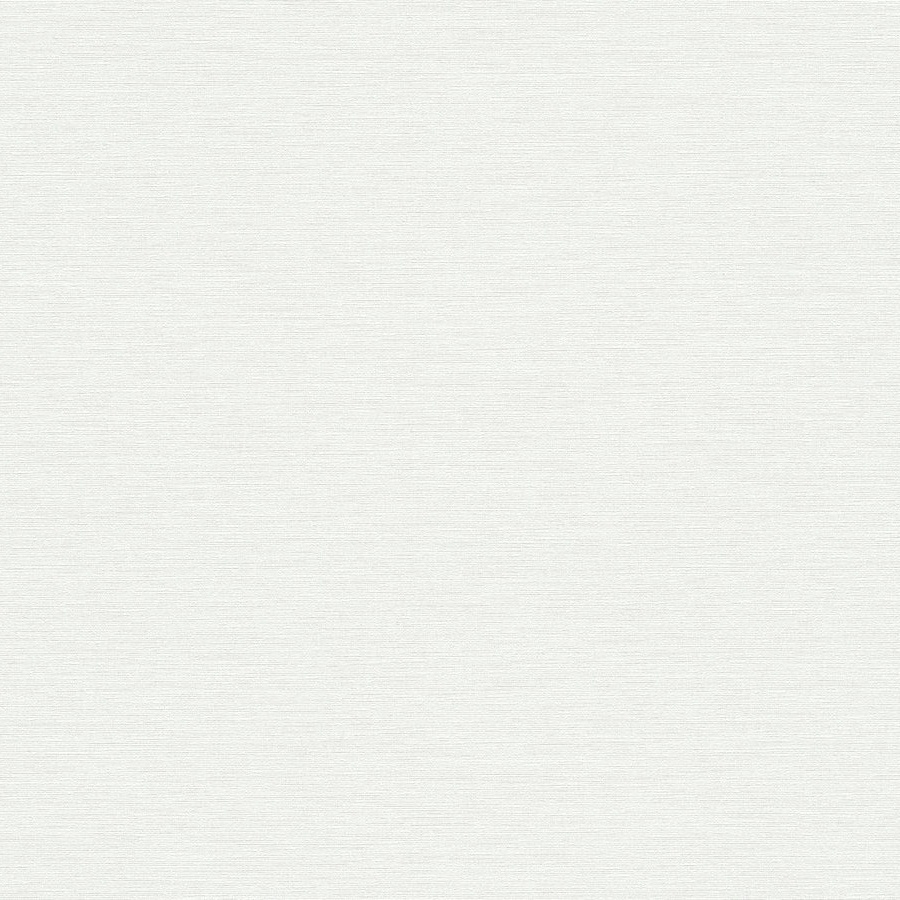 A.S. Creation | House of Turnowsky | 389033 | Papier Peint Intissé | Uni | 10.05 x 0.53 m | Blanc