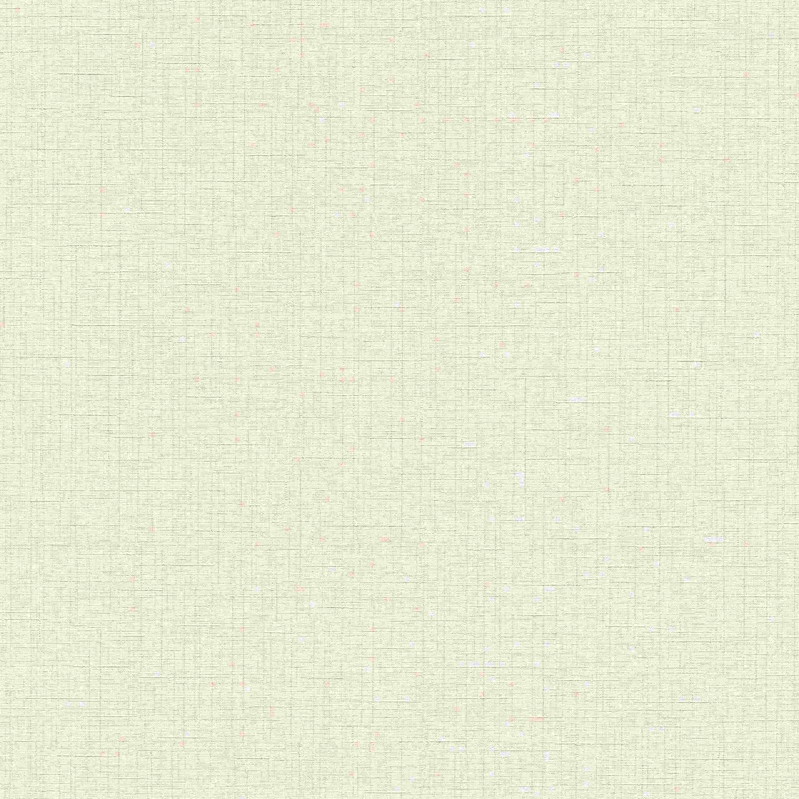 Erismann Paradisio 2 | 1014031 | papier peint intissé uni | 0.53 m x 10.05 m | gris