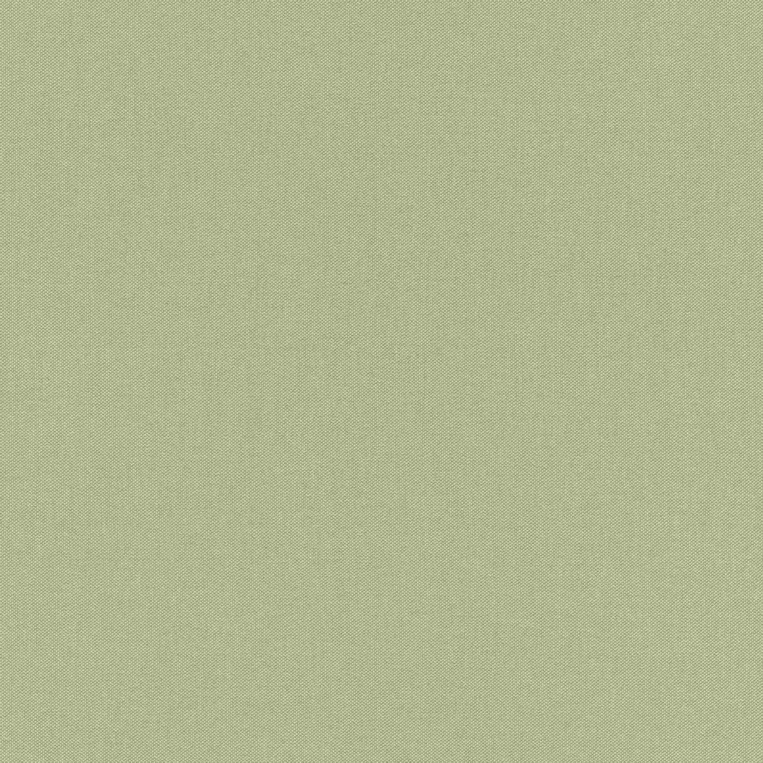 Rasch Unsere Besten 2022 | 423938 | papier peint intissé uni | 0.53 m x 10.05 m | vert