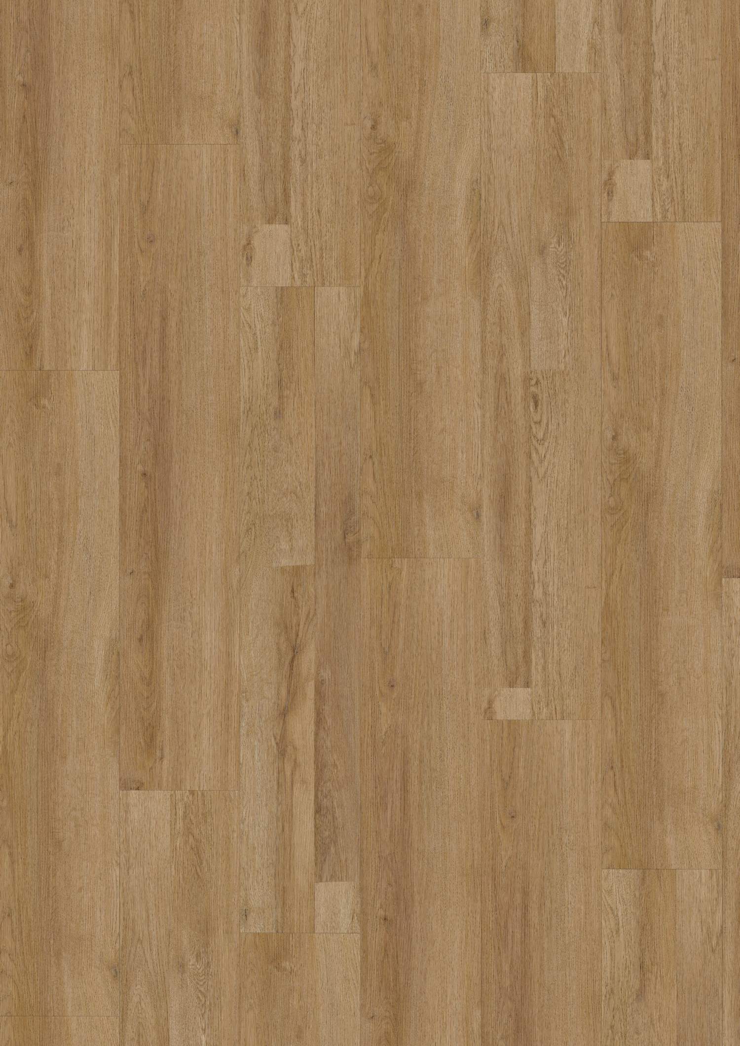 Check expert Soly vinyle PVC à coller 2044E Victoria Chêne Marron